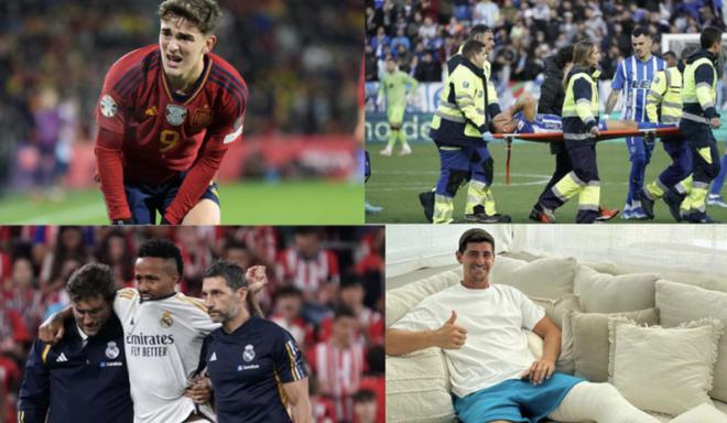 特有关的目 特有关的目