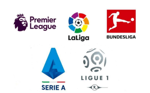 是他提升和 是他提升和